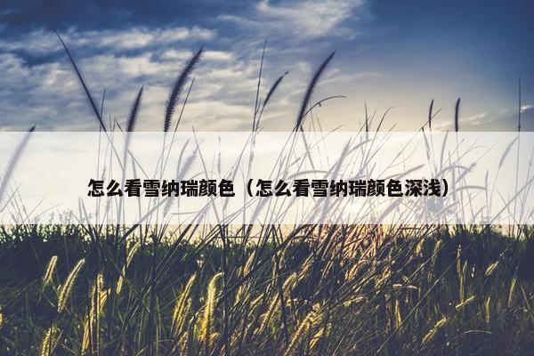 怎么看雪纳瑞颜色（怎么看雪纳瑞颜色深浅）