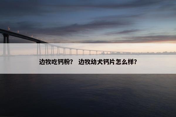 边牧吃钙粉？ 边牧幼犬钙片怎么样？