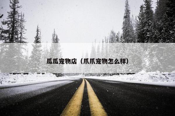 瓜瓜宠物店（爪爪宠物怎么样）