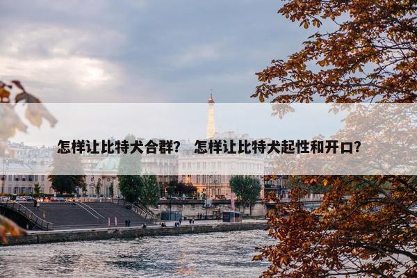 怎样让比特犬合群？ 怎样让比特犬起性和开口？