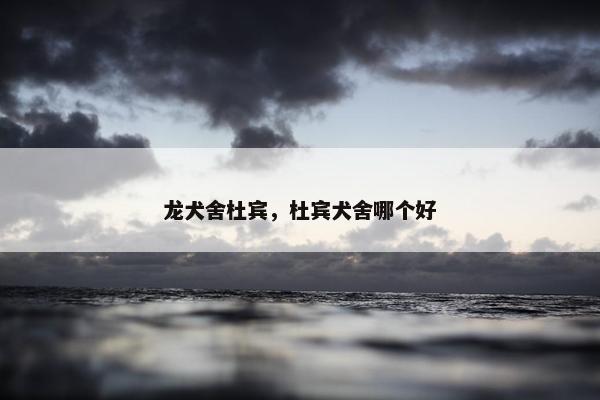 龙犬舍杜宾，杜宾犬舍哪个好