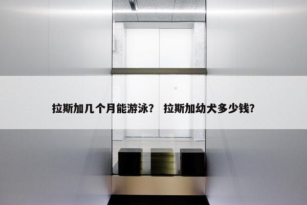 拉斯加几个月能游泳？ 拉斯加幼犬多少钱？