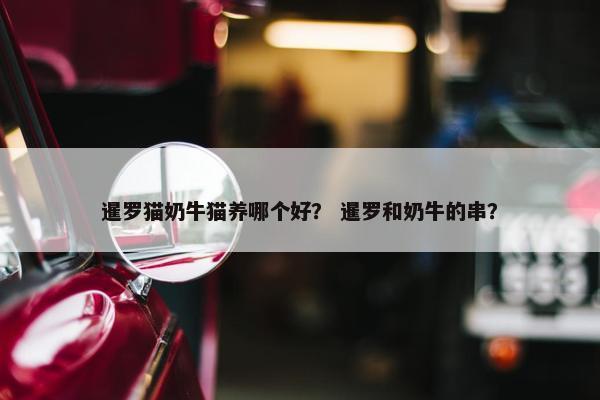 暹罗猫奶牛猫养哪个好？ 暹罗和奶牛的串？