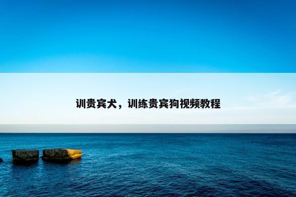 训贵宾犬，训练贵宾狗视频教程