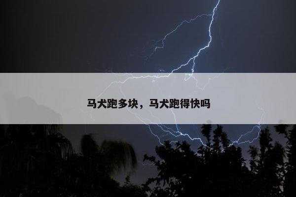 马犬跑多块，马犬跑得快吗