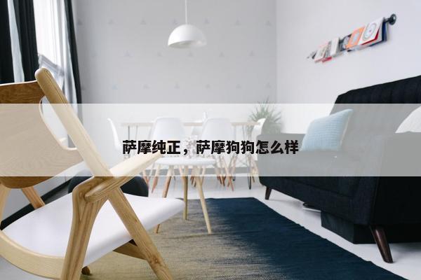 萨摩纯正，萨摩狗狗怎么样