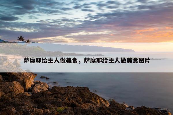 萨摩耶给主人做美食，萨摩耶给主人做美食图片