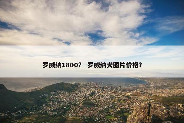 罗威纳1800？ 罗威纳犬图片价格？