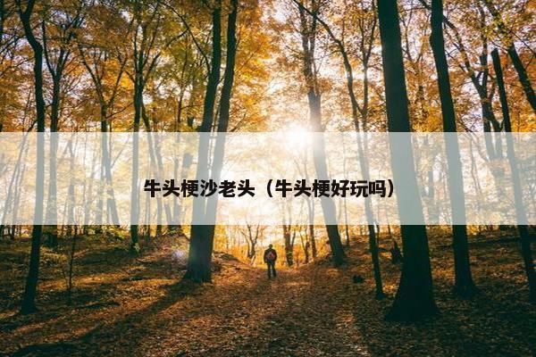 牛头梗沙老头（牛头梗好玩吗）