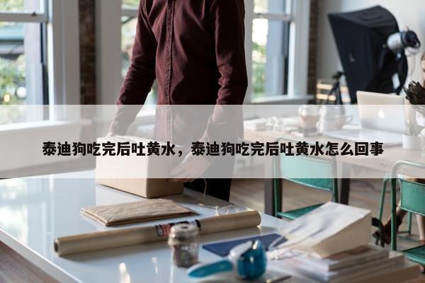 泰迪狗吃完后吐黄水，泰迪狗吃完后吐黄水怎么回事