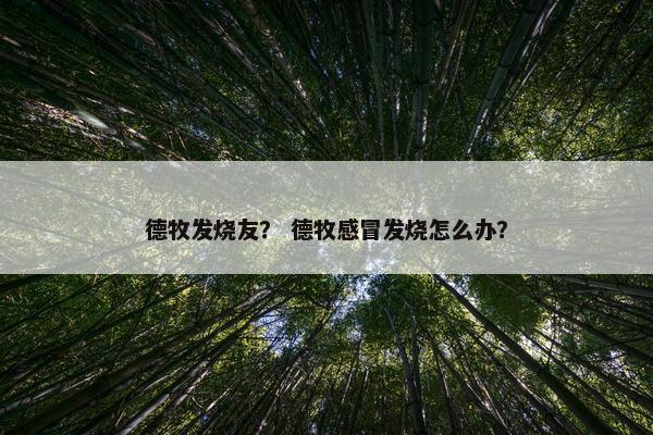 德牧发烧友？ 德牧感冒发烧怎么办？