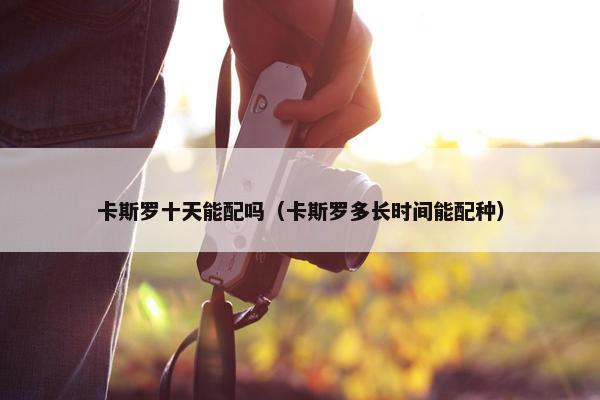 卡斯罗十天能配吗（卡斯罗多长时间能配种）