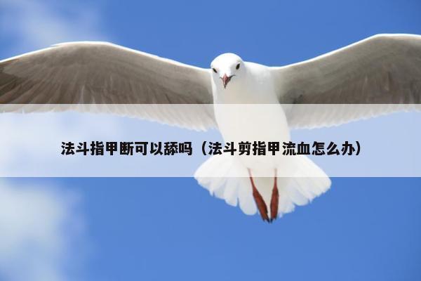 法斗指甲断可以舔吗（法斗剪指甲流血怎么办）