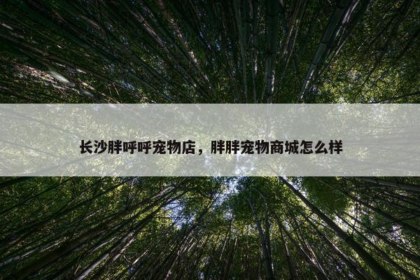 长沙胖呼呼宠物店，胖胖宠物商城怎么样