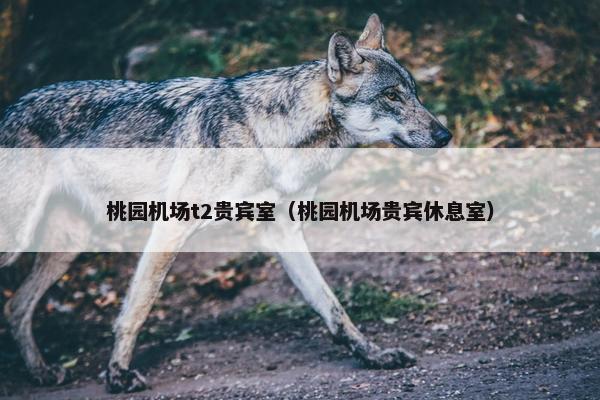桃园机场t2贵宾室（桃园机场贵宾休息室）