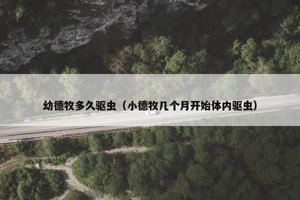 幼德牧多久驱虫（小德牧几个月开始体内驱虫）