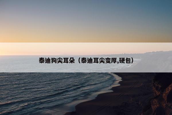 泰迪狗尖耳朵（泰迪耳尖变厚,硬包）