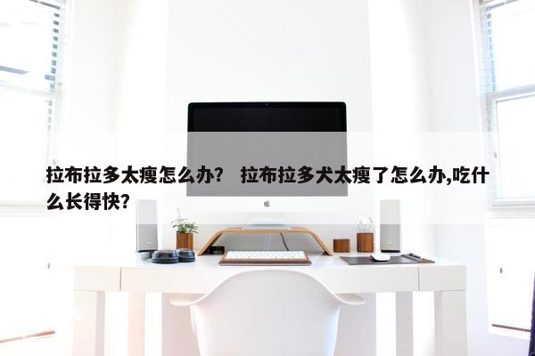 拉布拉多太瘦怎么办？ 拉布拉多犬太瘦了怎么办,吃什么长得快？