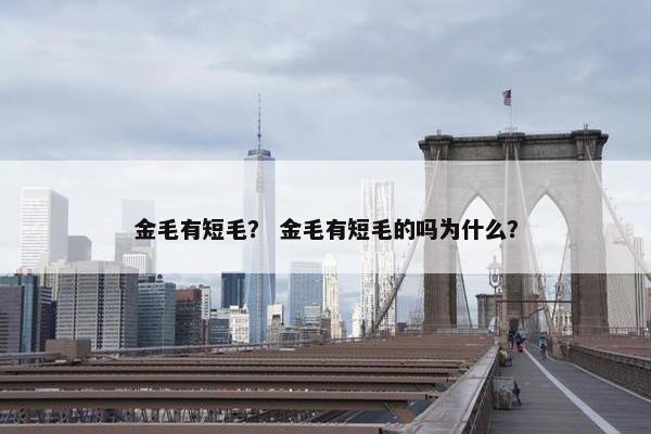 金毛有短毛？ 金毛有短毛的吗为什么？