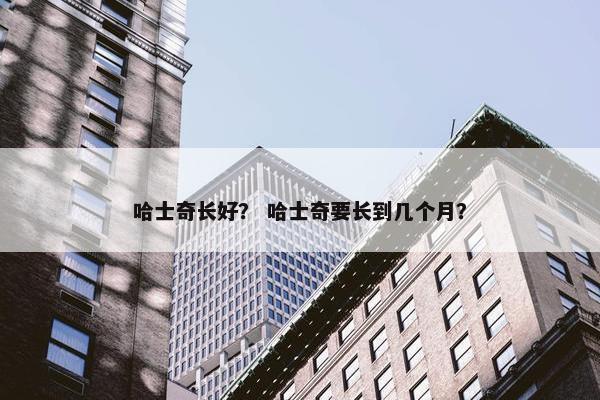 哈士奇长好？ 哈士奇要长到几个月？