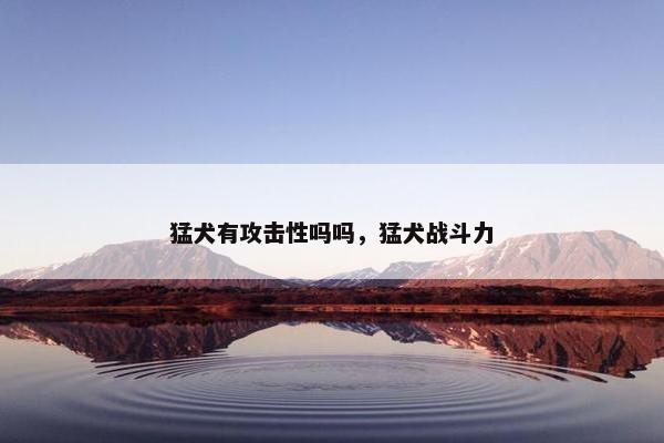 猛犬有攻击性吗吗，猛犬战斗力