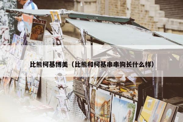 比熊柯基博美（比熊和柯基串串狗长什么样）