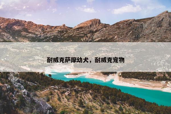 耐威克萨摩幼犬，耐威克宠物