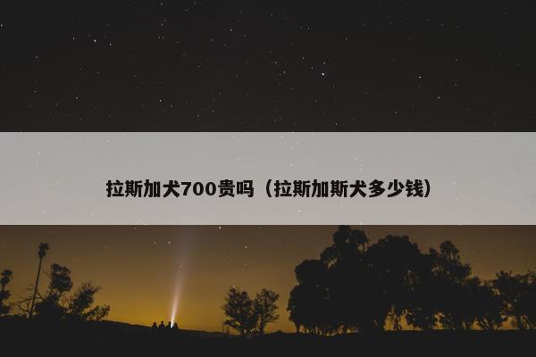 拉斯加犬700贵吗（拉斯加斯犬多少钱）
