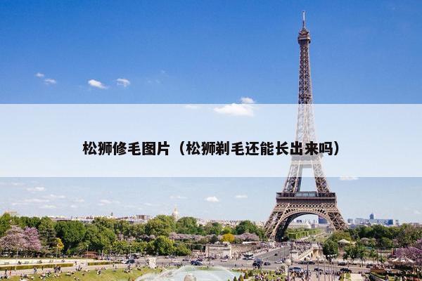 松狮修毛图片（松狮剃毛还能长出来吗）