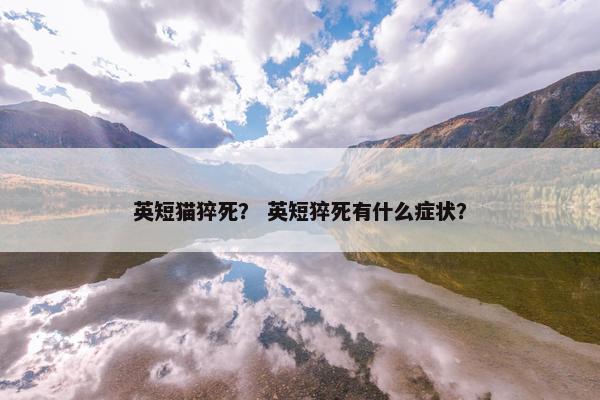 英短猫猝死？ 英短猝死有什么症状？