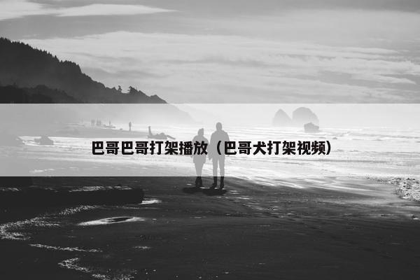 巴哥巴哥打架播放（巴哥犬打架视频）