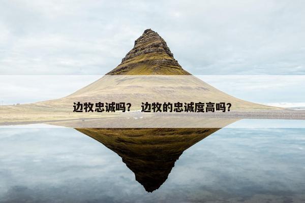 边牧忠诚吗？ 边牧的忠诚度高吗？