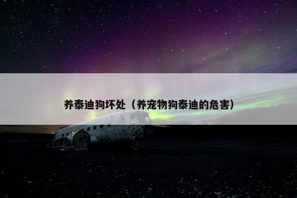 养泰迪狗坏处（养宠物狗泰迪的危害）