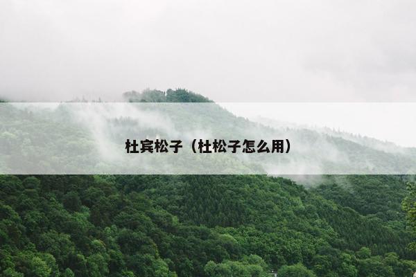 杜宾松子（杜松子怎么用）