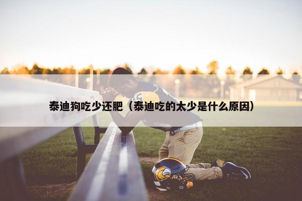 泰迪狗吃少还肥（泰迪吃的太少是什么原因）