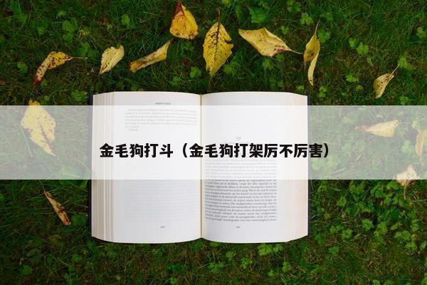 金毛狗打斗（金毛狗打架厉不厉害）