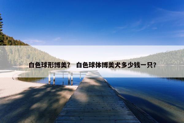 白色球形博美？ 白色球体博美犬多少钱一只？