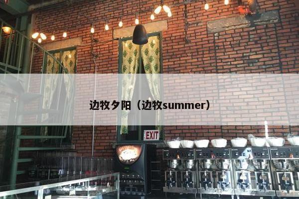 边牧夕阳（边牧summer）