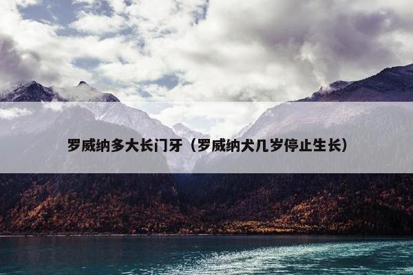罗威纳多大长门牙（罗威纳犬几岁停止生长）