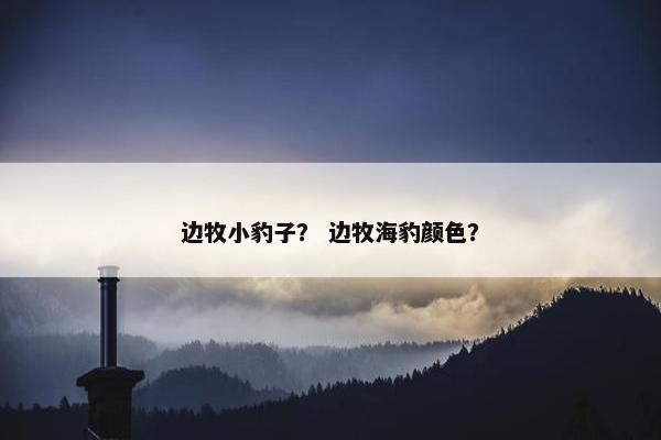 边牧小豹子？ 边牧海豹颜色？