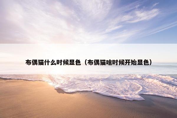布偶猫什么时候显色（布偶猫啥时候开始显色）