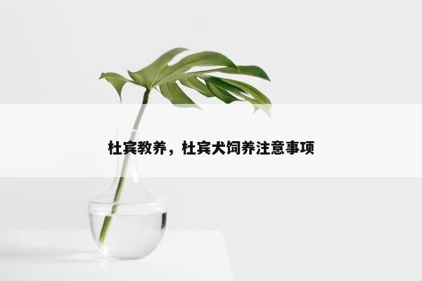 杜宾教养，杜宾犬饲养注意事项