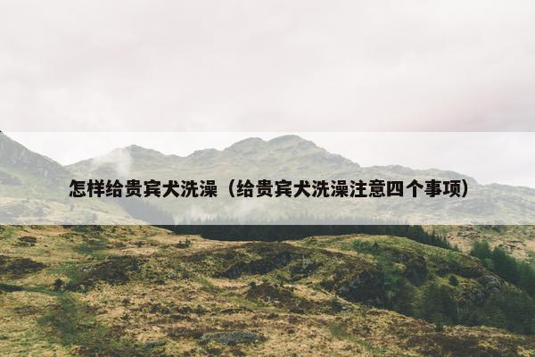 怎样给贵宾犬洗澡（给贵宾犬洗澡注意四个事项）