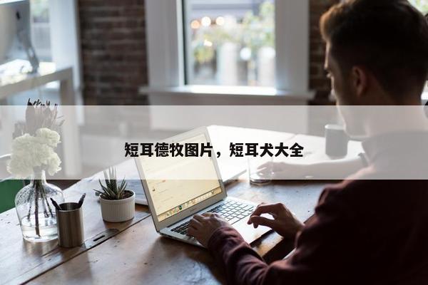 短耳德牧图片，短耳犬大全