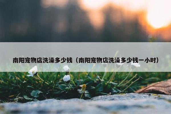 南阳宠物店洗澡多少钱（南阳宠物店洗澡多少钱一小时）