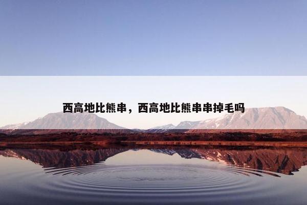 西高地比熊串，西高地比熊串串掉毛吗