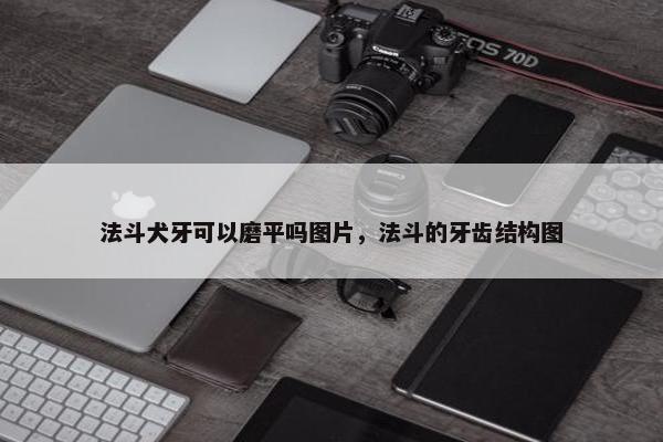 法斗犬牙可以磨平吗图片，法斗的牙齿结构图