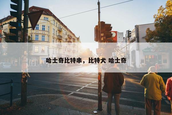 哈士奇比特串，比特犬 哈士奇