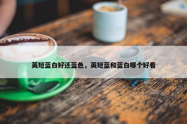 英短蓝白好还蓝色，英短蓝和蓝白哪个好看
