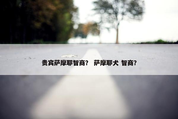 贵宾萨摩耶智商？ 萨摩耶犬 智商？